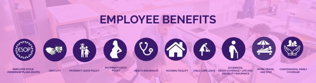 What Are the Employee Benefits in Private and Public Organisations?