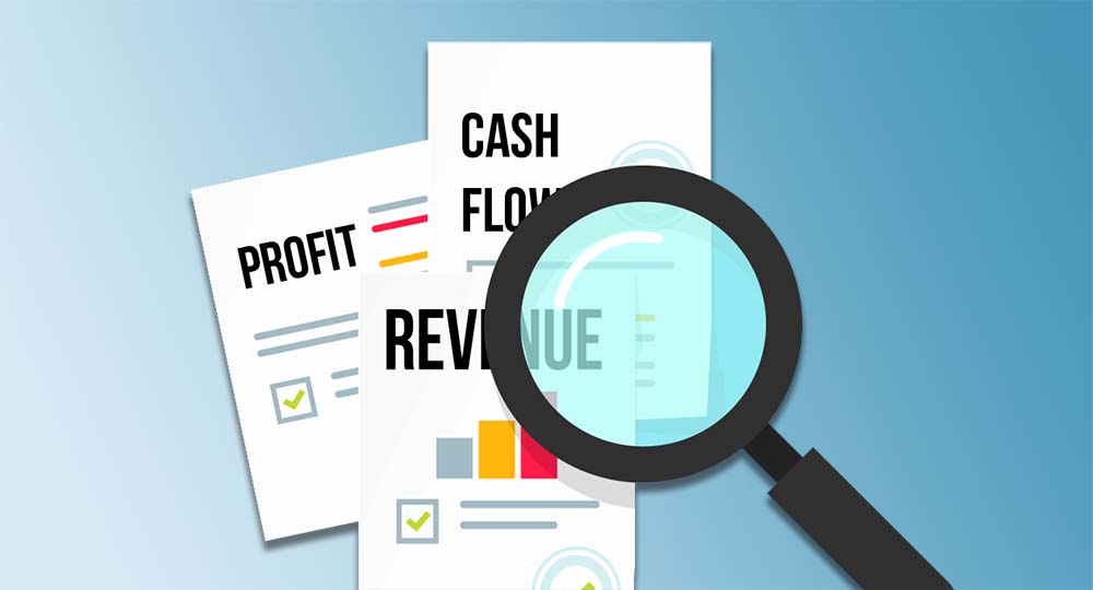 Revenue, Cash Flow and Profit Check