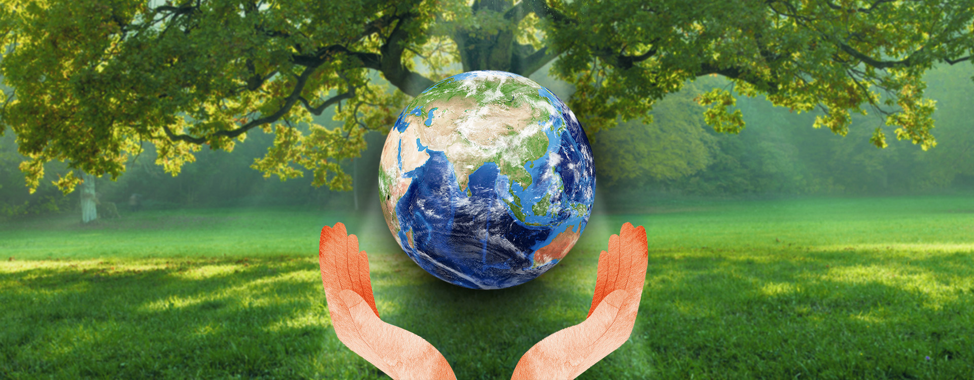 Devic Earth- Clean Earth, Green Earth