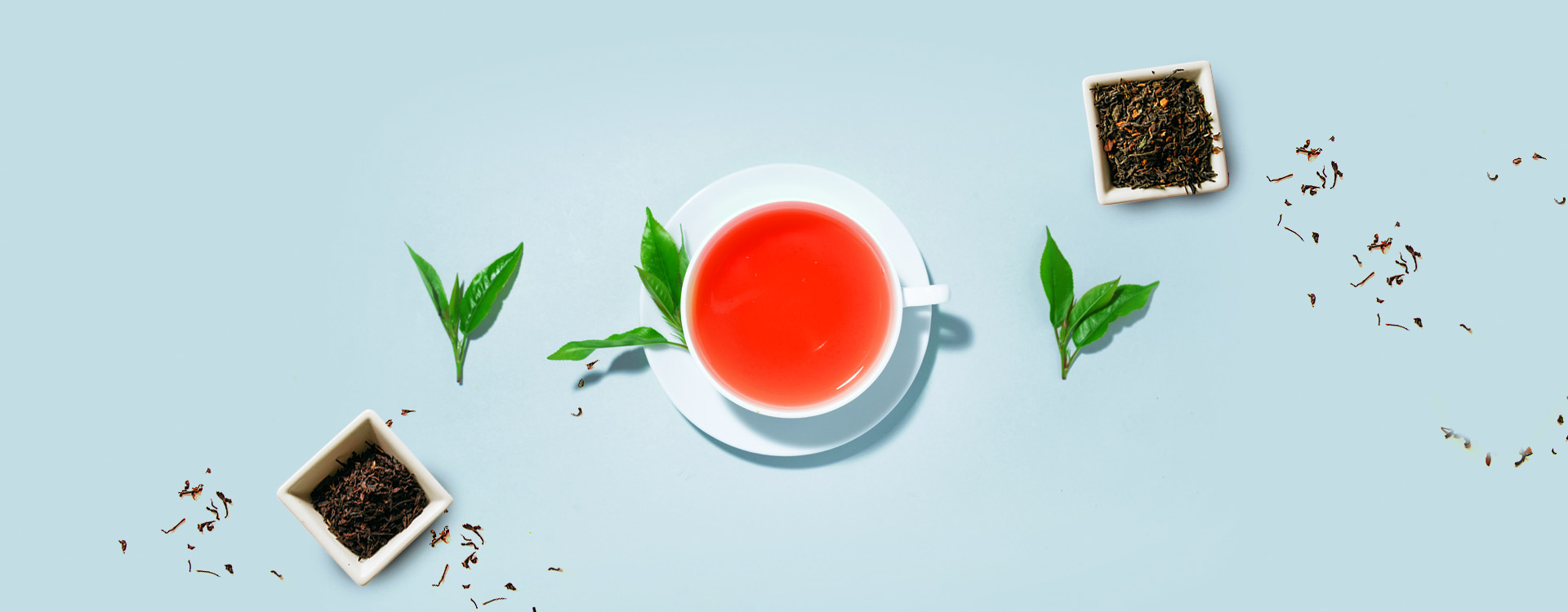 Blooming Tea Industry in India