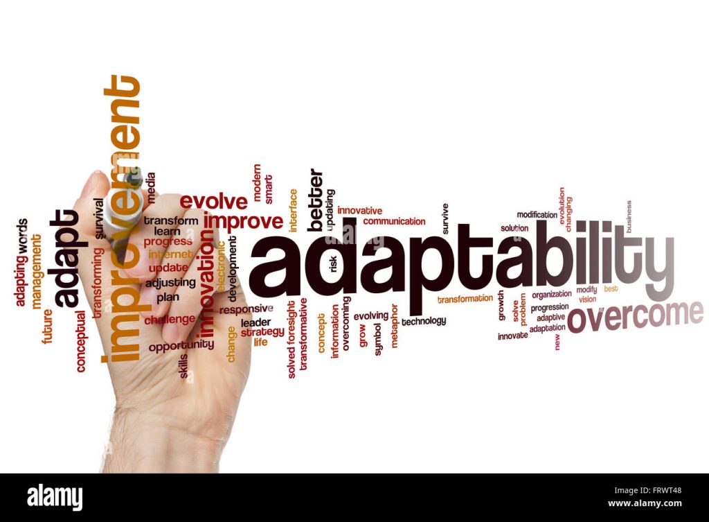 adaptability-word-cloud-concept-FRWT48